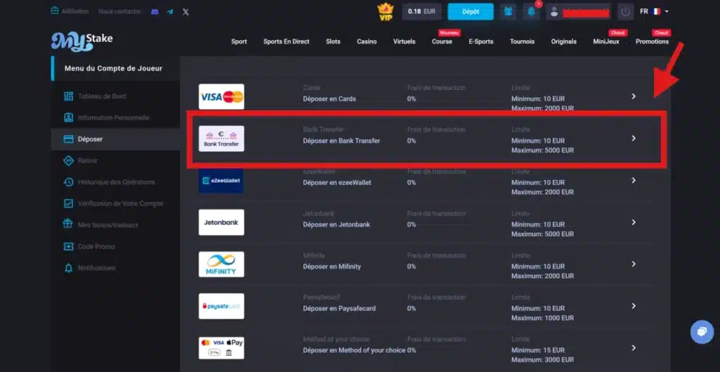 dépôt virement bancaire casino