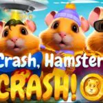 crash hamster crash logo