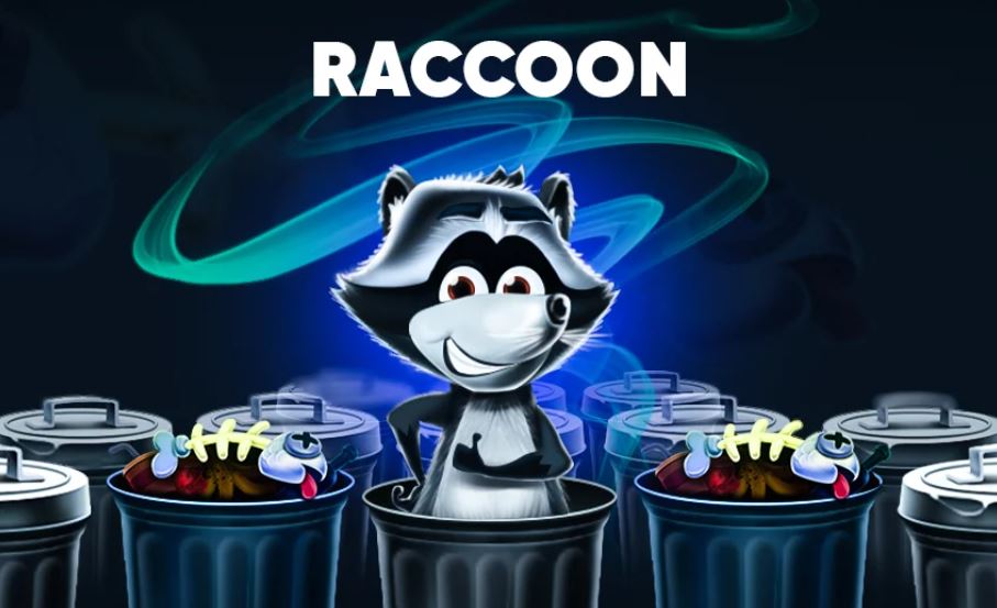 raccoon jeu argent