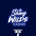 retrait shiny wilds